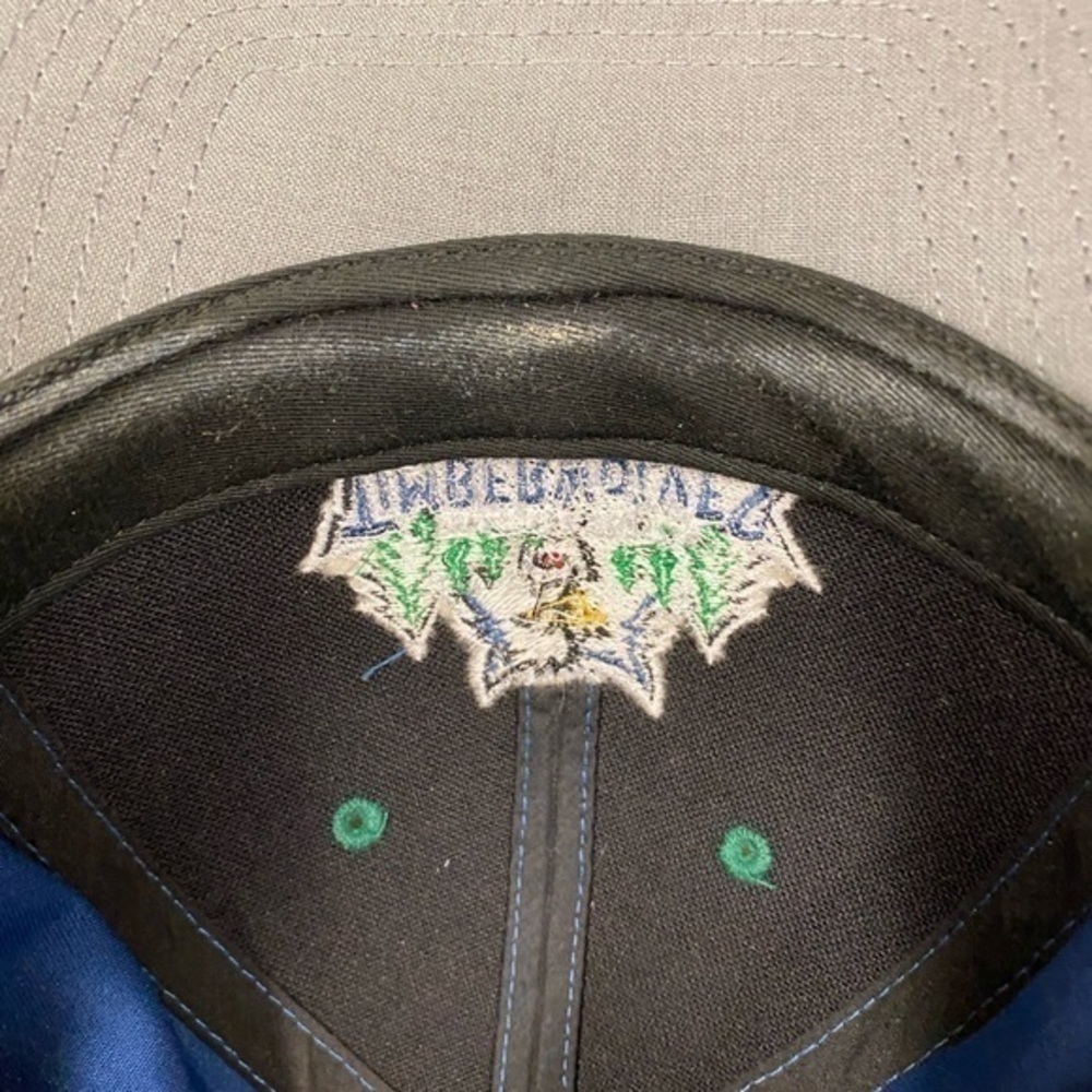 Timberwolves hat - Picture 4 of 5